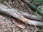 IMG_20210529_120048