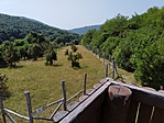 IMG_20210725_104635.jpg