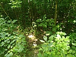 P10703-114730