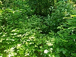 P10703-114735