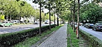 20210727_090058.jpg