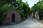 HER_6391_tn