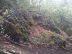 IMG_20210717_160447_3