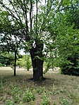 IMG_20210702_143052