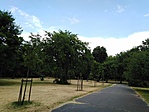 IMG_20210702_142520