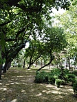 IMG_20210702_144617