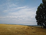 IMG_20210725_093250