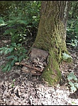 IMG_20210703_105639