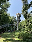 IMG_4506[2]