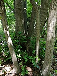 IMG_20210720_110556