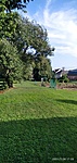 IMG_20210728_173325_1