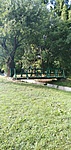 IMG_20210728_173228_1