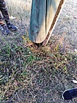 IMG_20210722_194642