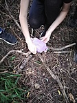 IMG_20210722_190517