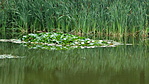 DSCN-26724