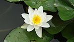 DSCN-26729