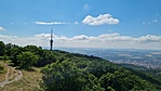 2021-07-03 10.02.56R