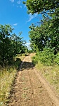 2021-07-10 09.42.24R