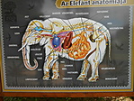 DSCN8777