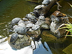 DSCN8781