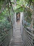 DSCN8810