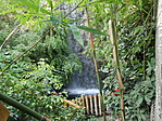 DSCN8811
