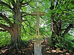 IMG_20210724_130456