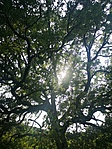 IMG_20210711_172358