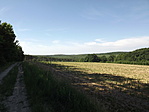 Pusztaszentpéter-1