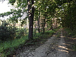 Pusztaszentpéter-2