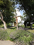 Kemence-Templom-1