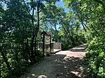 IMG_4600