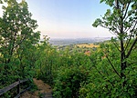 IMG_5279