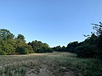 IMG_5327