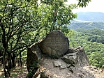 IMG_5449