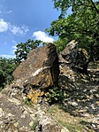 IMG_5452