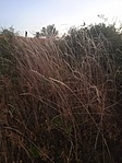 IMG_20210703_205745.jpg