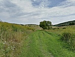 IMG_20210725_104955