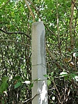 IMG_20210726_102332