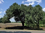 IMG_20210722_131340