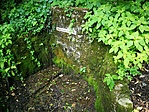 IMG_20210715_110339