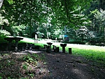 IMG_20210715_110346