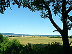 Erdő széléről
