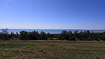 IMG_20210715_101141
