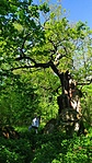 IMG_20210508_095859