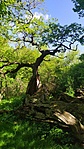 IMG_20210508_100125