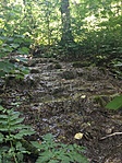 IMG-0483