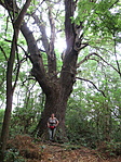 IMG_0599
