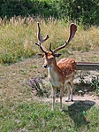 21 07 26 Koloska völgy (136)