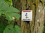 IMG_20210704_163235